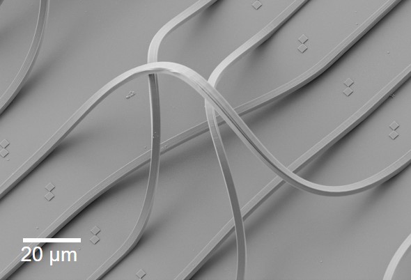 Four Photonic Wire Bonds on a flat surface