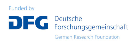 International DFG funding logo