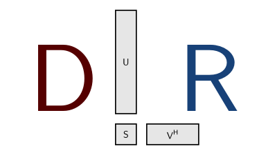 Dynamical low-rank iconic image