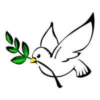 White dove as a symbol of pentecost
