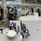 A group of four different photo shots